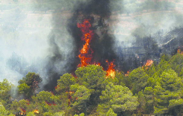 آتش‌سوزی در جنگل‌های بلوط الیگودرز